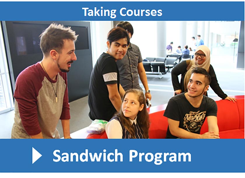 Sandwich Program