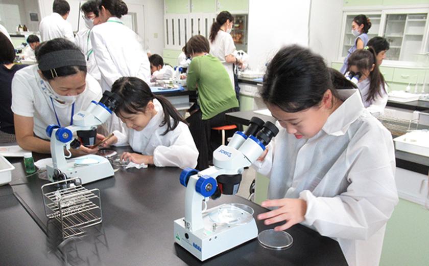 26a408_img_seibutsu1