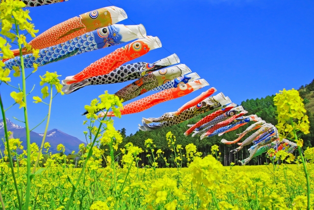 koinoborinanohana