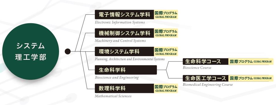 国際プログラム2021_イメージ図