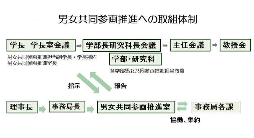 男女共同参画推進への取組体制