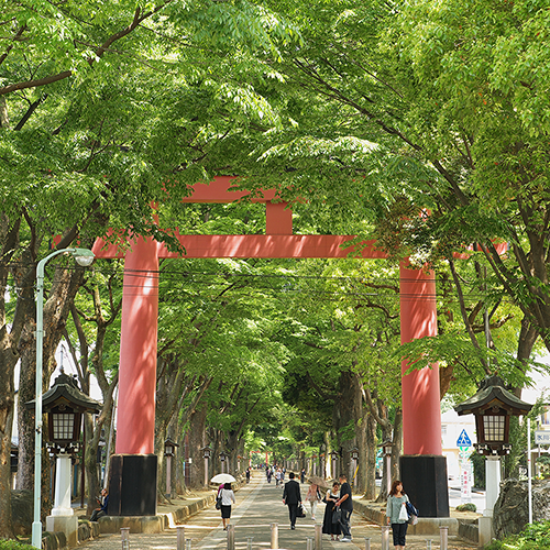 氷川神社_扉