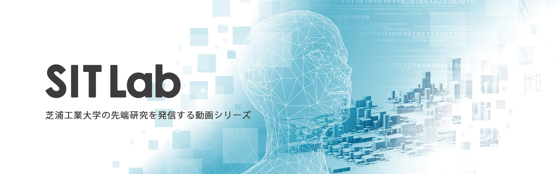 TOPSITLab