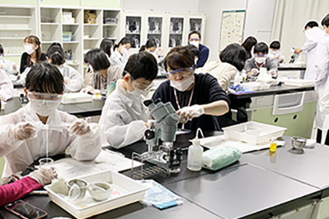 生物のしくみイメージ1