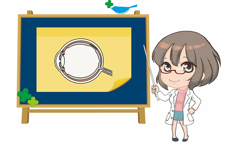 レンズのしくみを調べてみよう