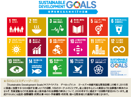 SDGs17