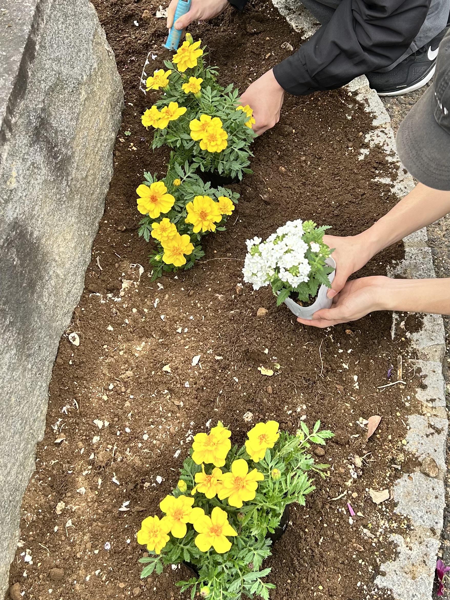 綾いと花壇