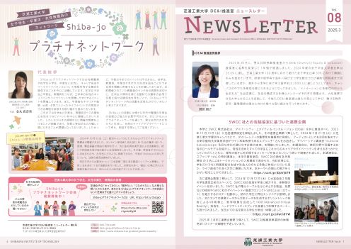 DEI_NLvol8