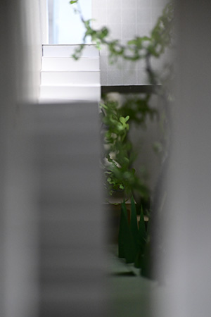 DSC_0283_NAKAGAWA-Renya