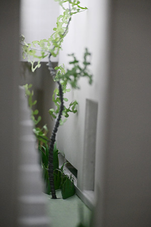 DSC_0285_NAKAGAWA-Renya