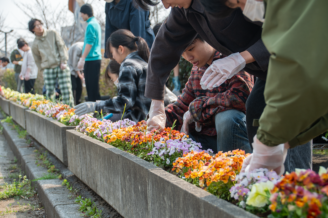 花壇で色とりどりの花を植える人々