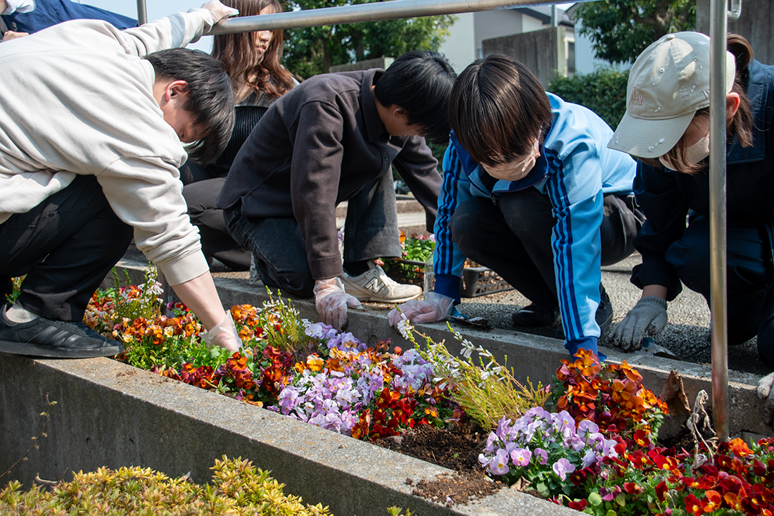 屋外の花壇で、数人の学生が色とりどりの花を植えたり整えたりしている。手袋を着用し、作業を進めている