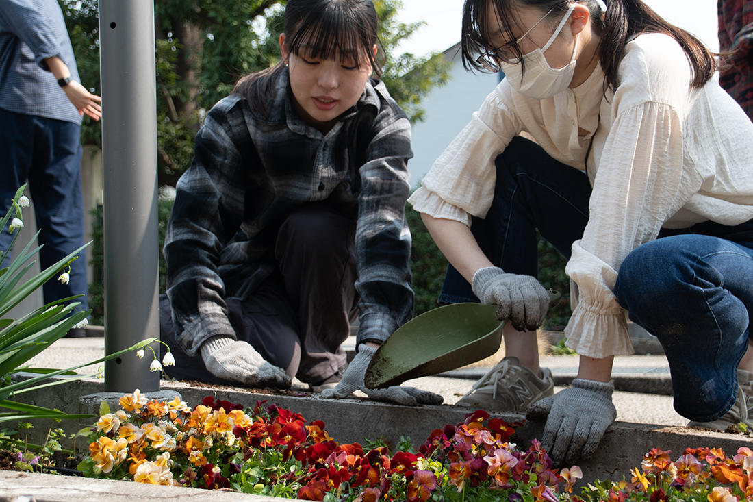 ガーデニング作業中の二人が花壇に花を植えている