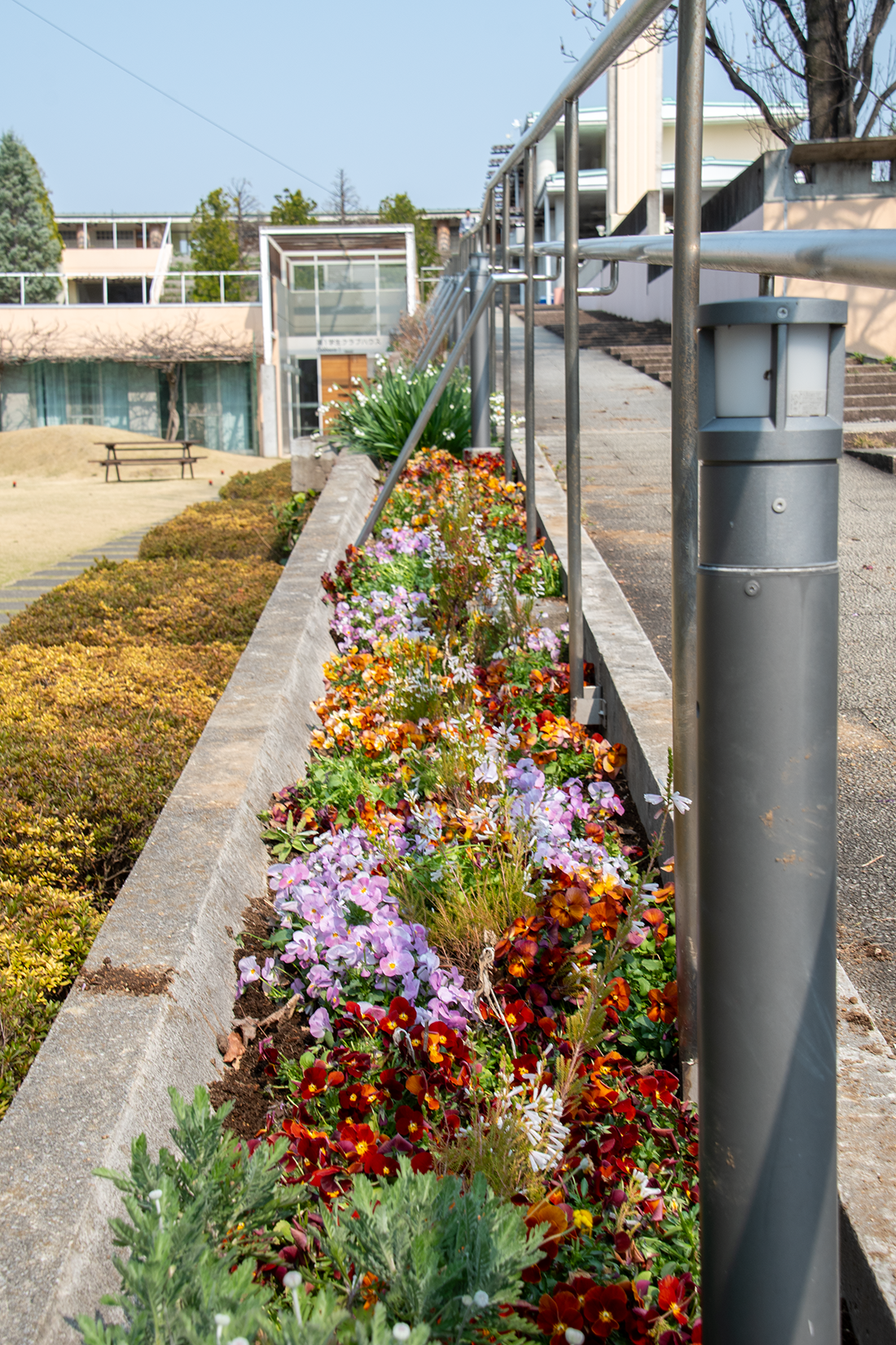 スロープに沿って植えられた季節の花々