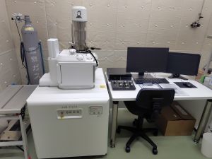 W-SEM_Omiya