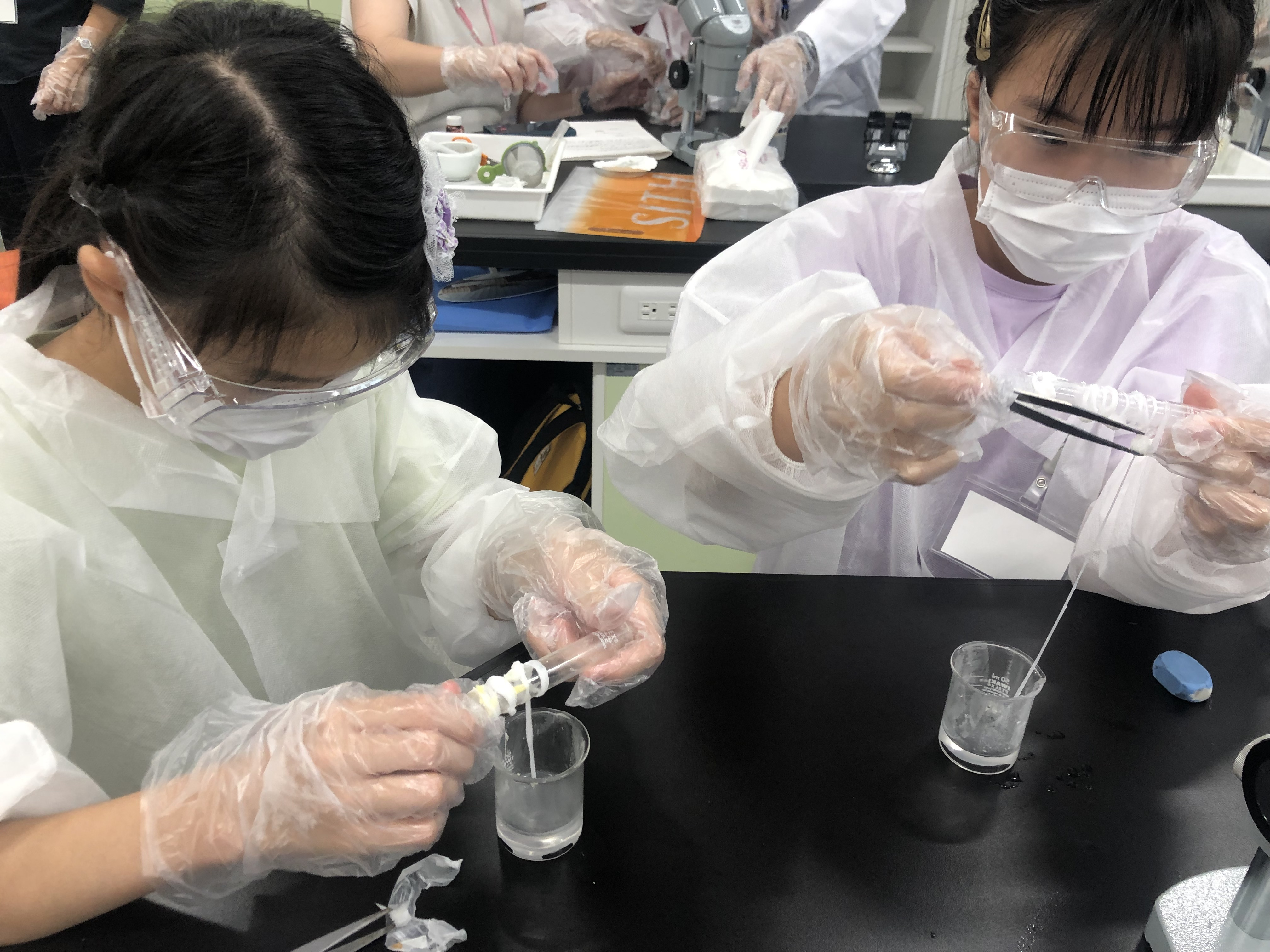 23a406 生物のしくみを学ぼう！ ～自然界の秘密を解き明かそう～｜芝浦