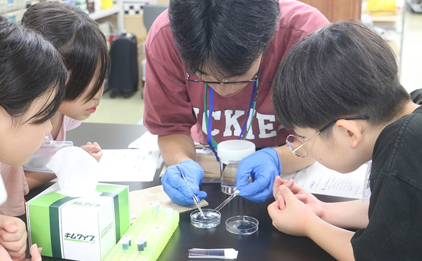 26a404_img_saibou.jpg_boysgirls