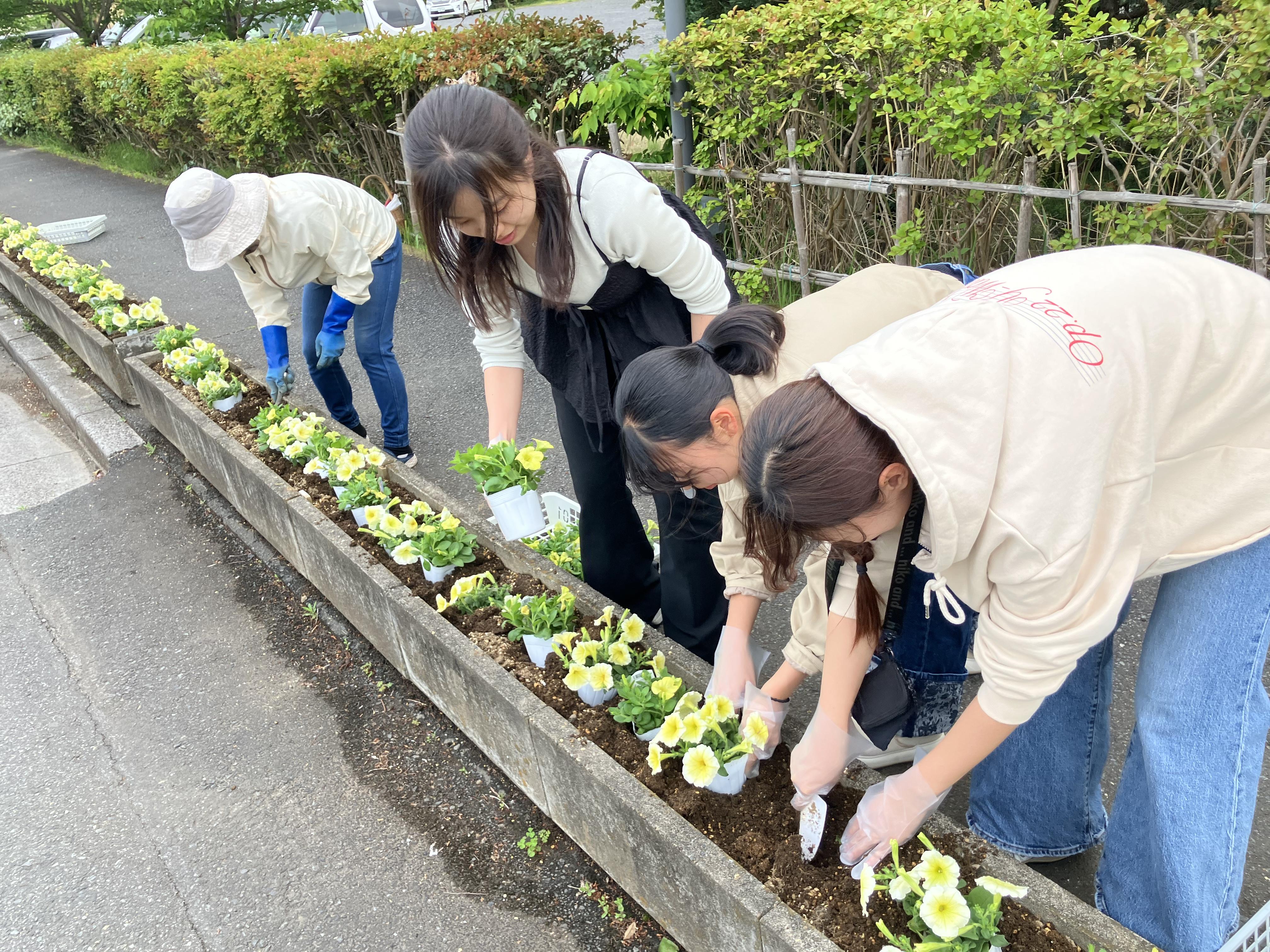 cmt花壇 (3)