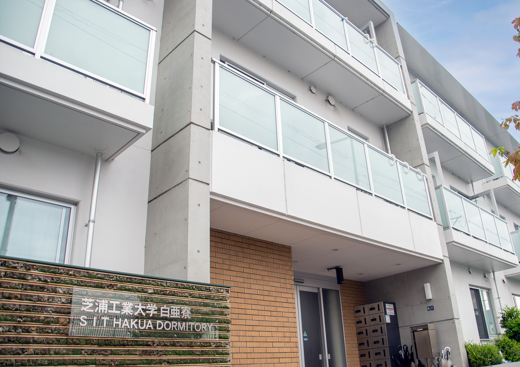 hakua_20250312