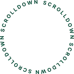 scrolldown