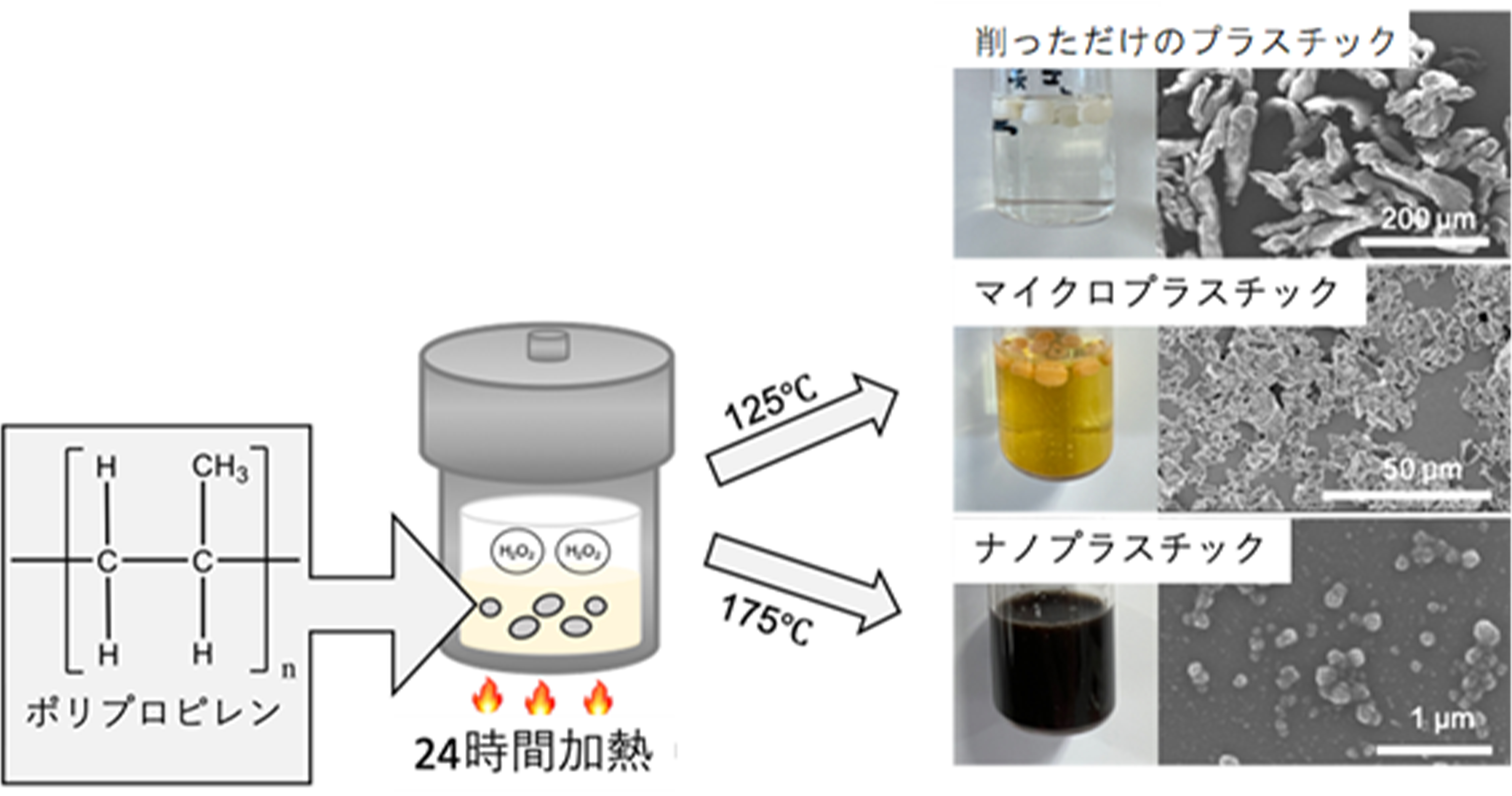 tanabe_img