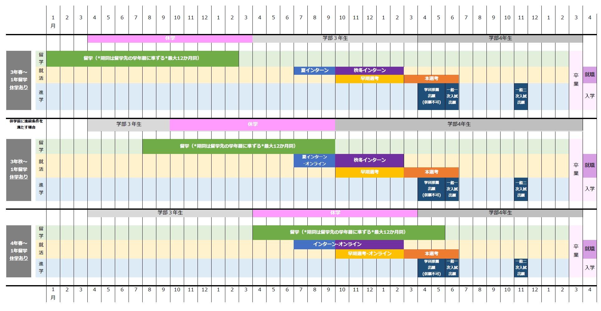 Undergraduate(1year)