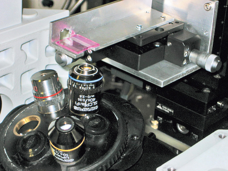 lab_shigeki_matsuo