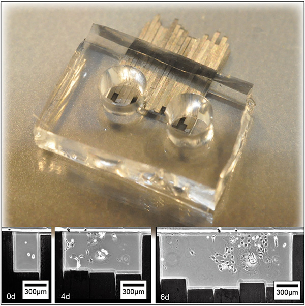 lab_nobuyuki_futai
