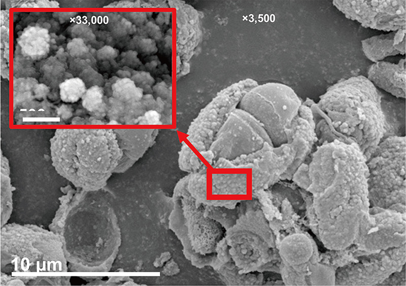 lab_mitsuo_yamashita