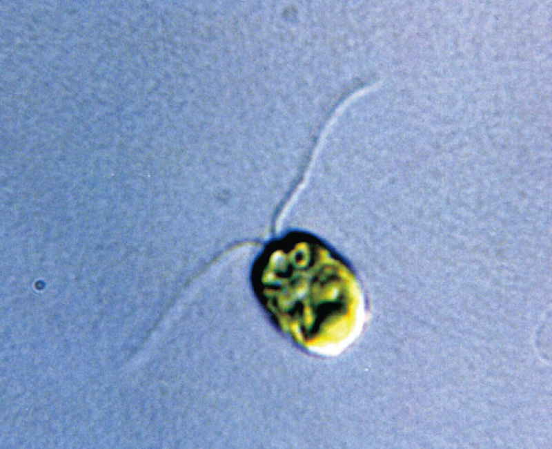 lab_kenjiro_yoshimura
