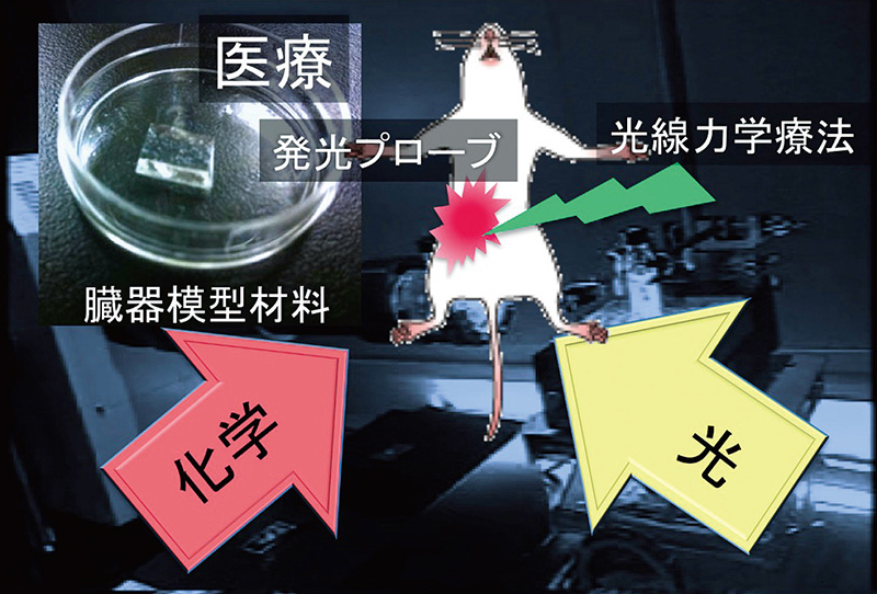 lab_asao_nakamura