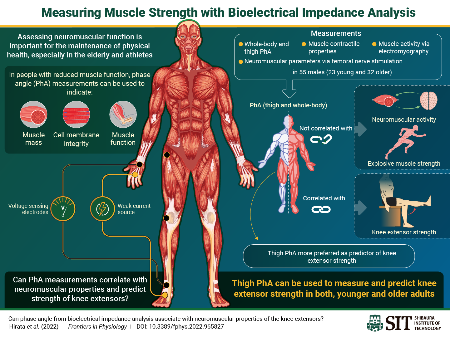 SITNG_39_Infographic_FINAL