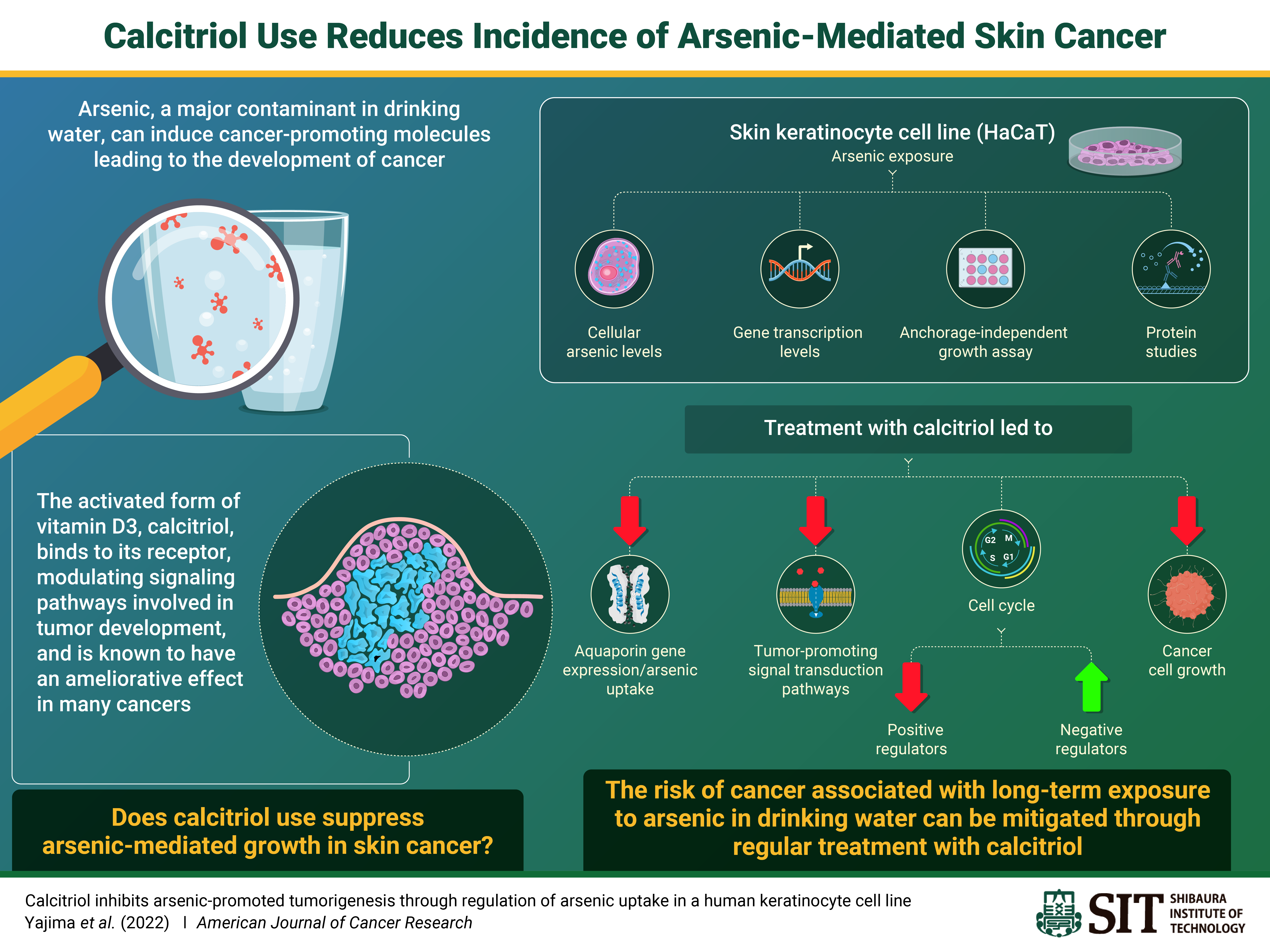 SITNG_45_Infographic_FINAL