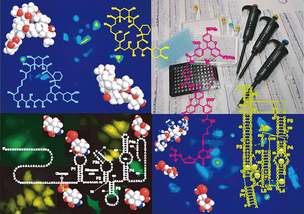 Laboratory of Chemical Biology