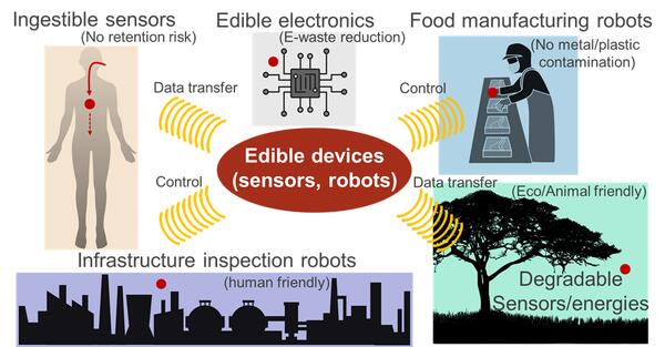 Soft Electronics Laboratory