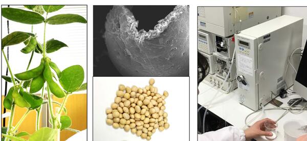 Science and Technology Education Laboratory　