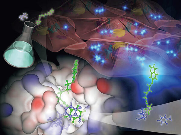 Biomolecular Chemistry Laboratory