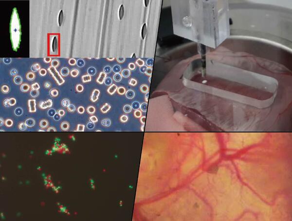 Biofluid Science and Engineering Laboratory