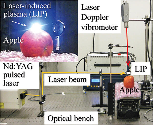 Mechanical Dynamics Laboratory