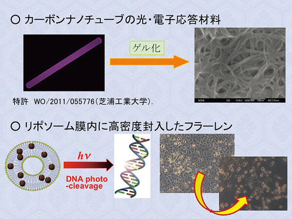 応用光化学研究室