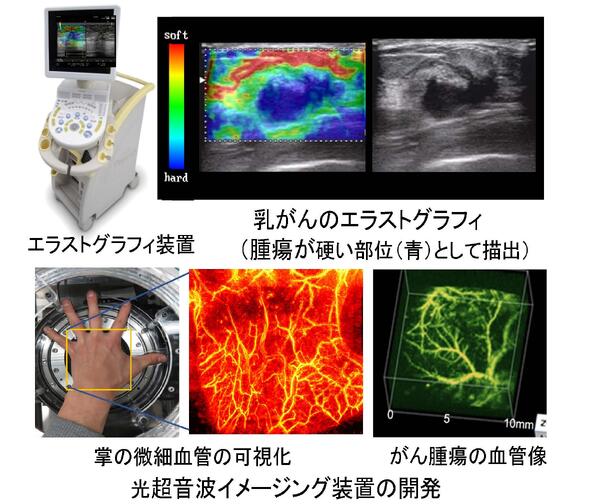 先端医工学システム研究室