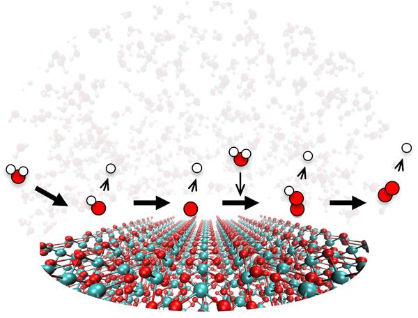 Theoretical and Computational Chemistry Group