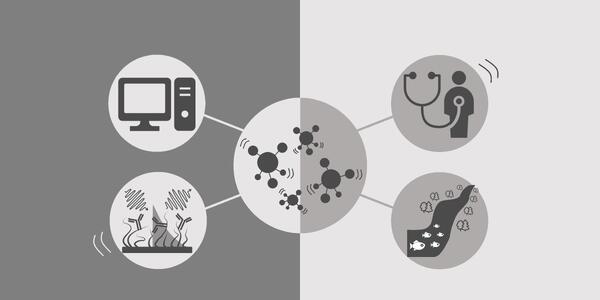 Fluct-Molecular Sensing Laboratory