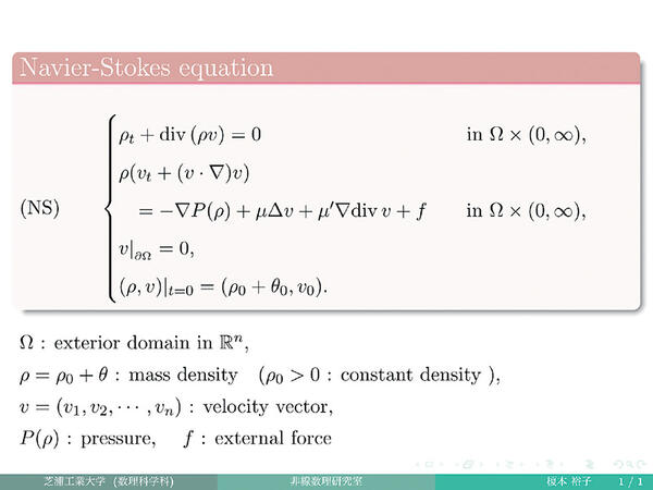 Nonlinear Mathematics Laboratory