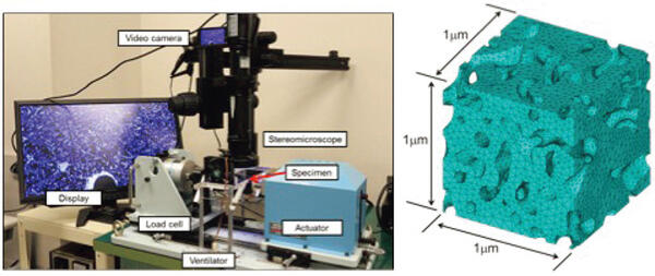 Multiscale Solid Mechanics Laboratory