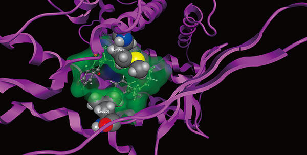 Laboratory of Organic Synthesisand Medicinal Chemistry