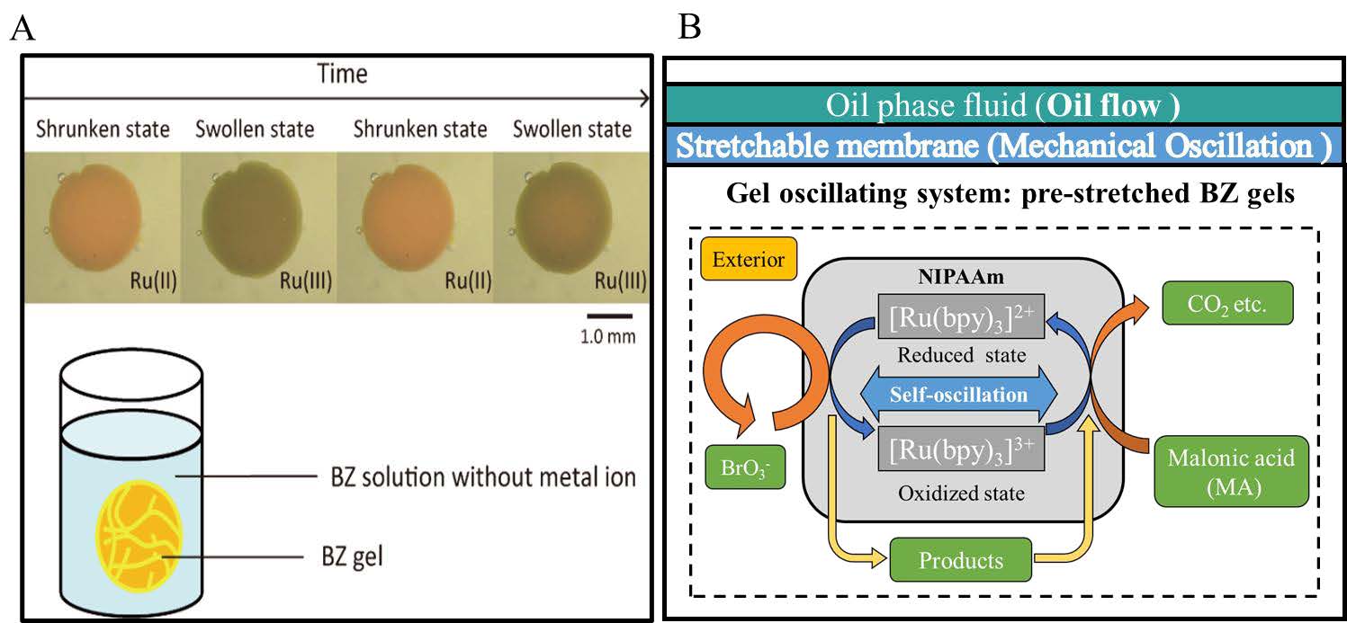 fig.1