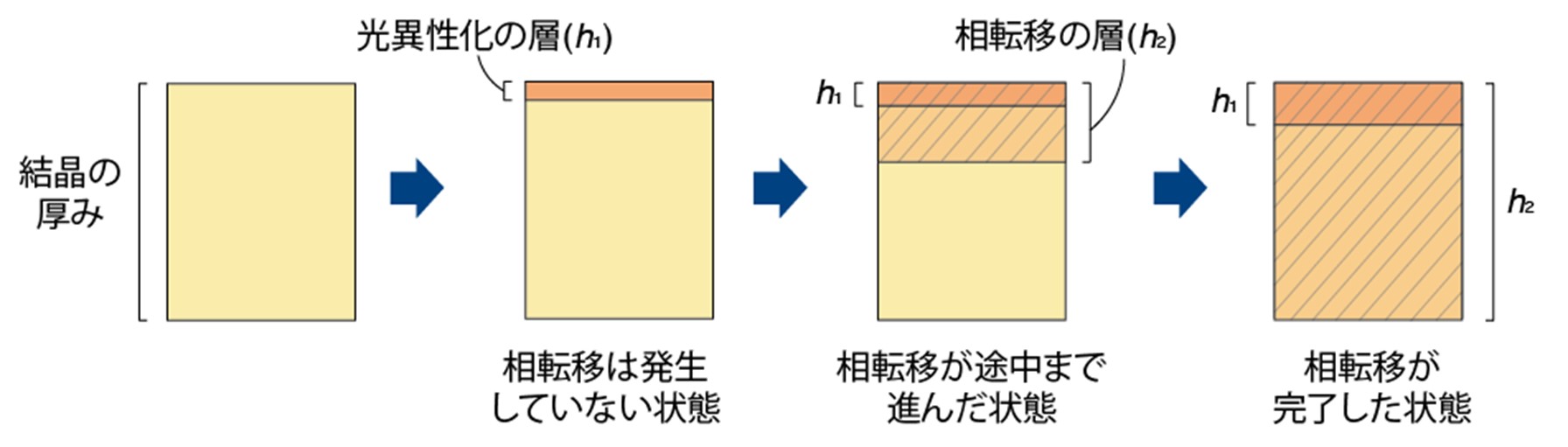 図３.変形シミュレーションで用いた動的多層モデル