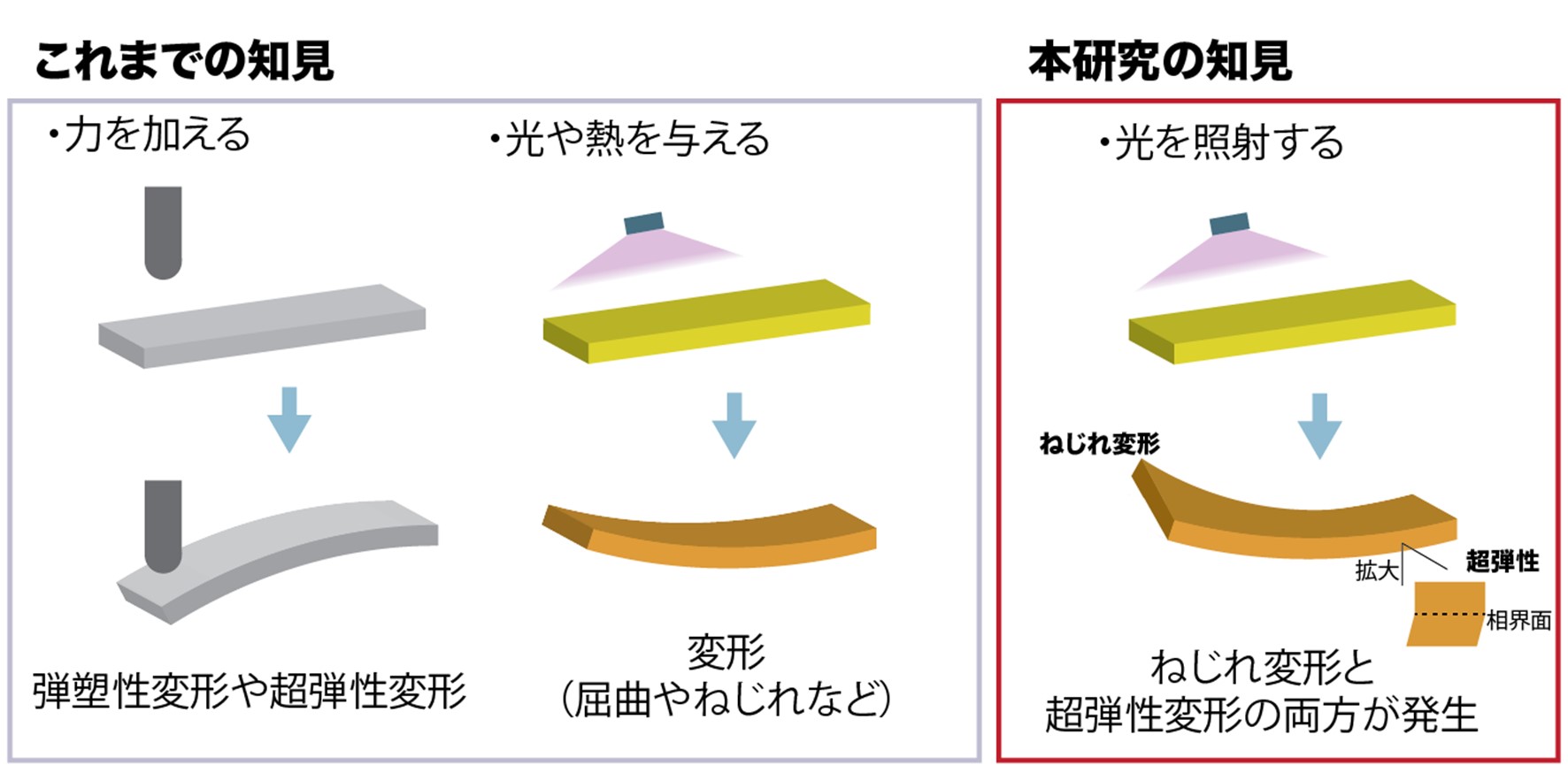 研究概略図