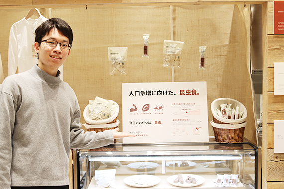 昆虫食